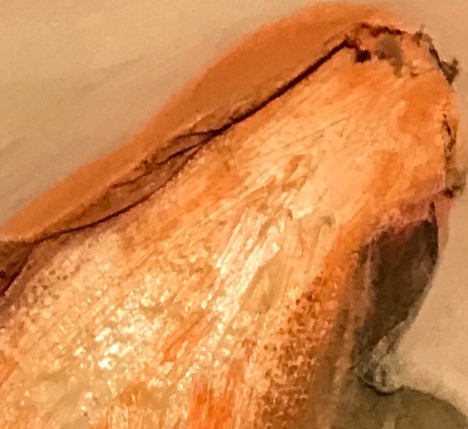 Welcome to Spark and Spitfire