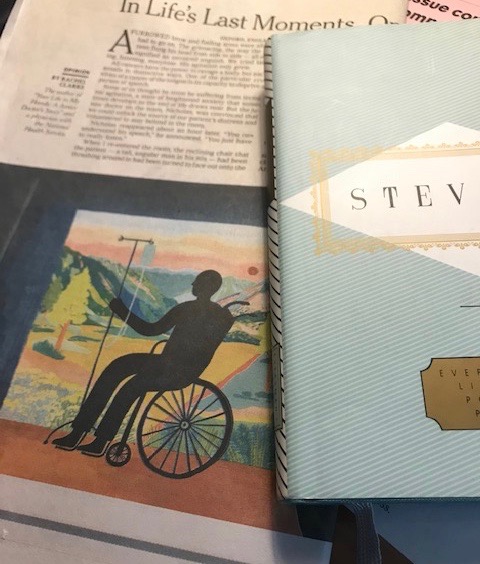 A Blackbird’s Song