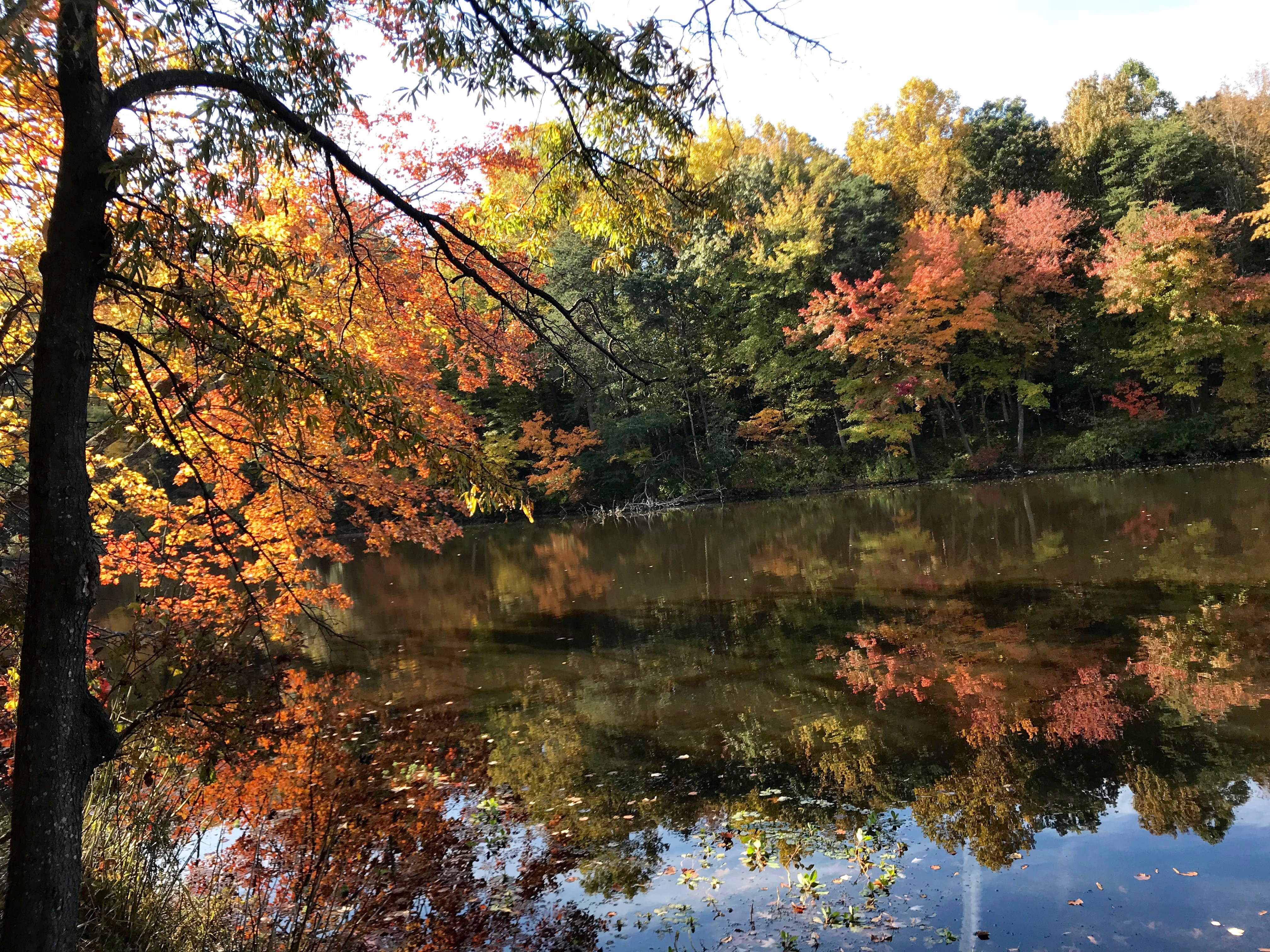 Aglow — All Saint’s Day 2018