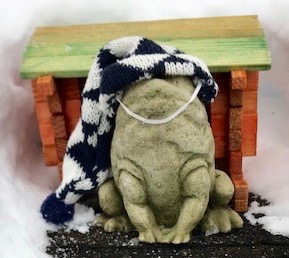 That’s So Pat! 1/17/19