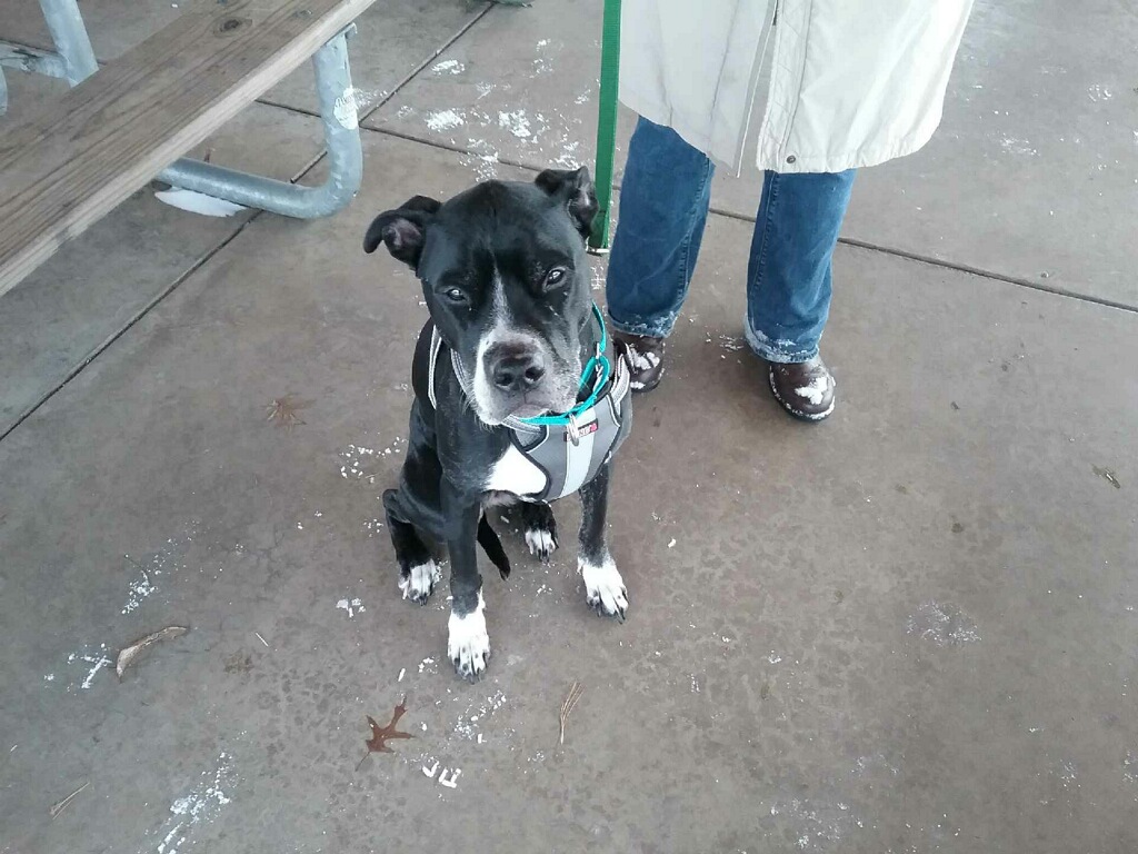 Faithful to Old Faithful