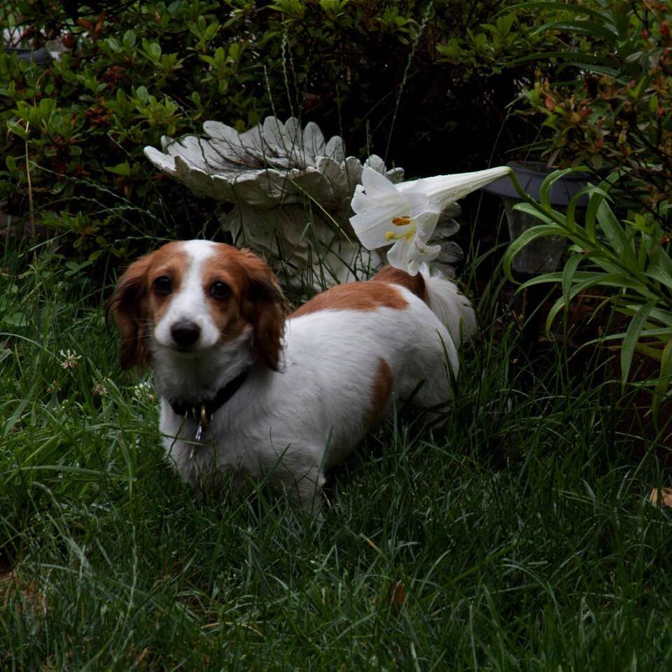 The Cruelest Month — Part Three