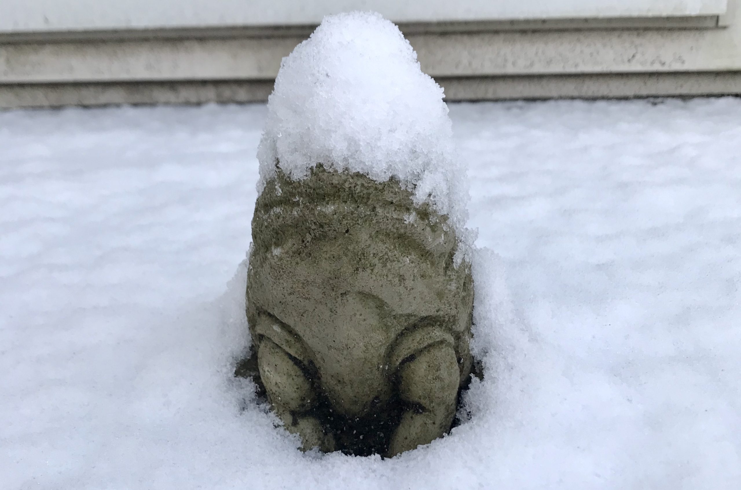 That’s So Pat! 1/9/2020