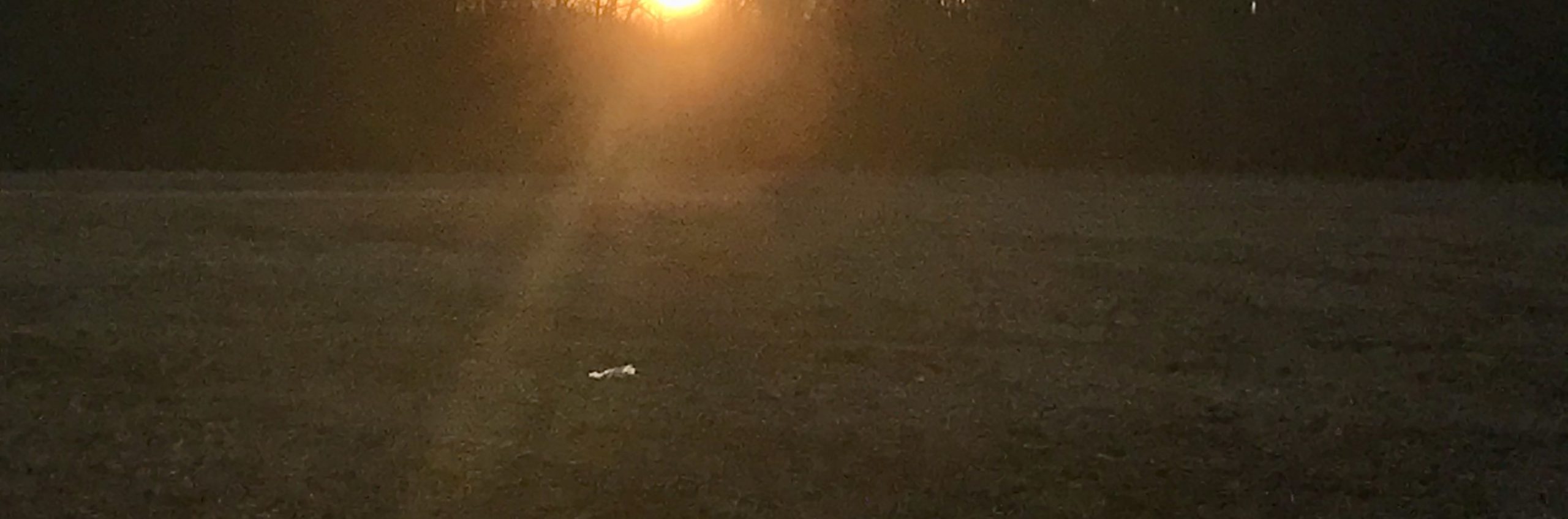 Blinded by the Light