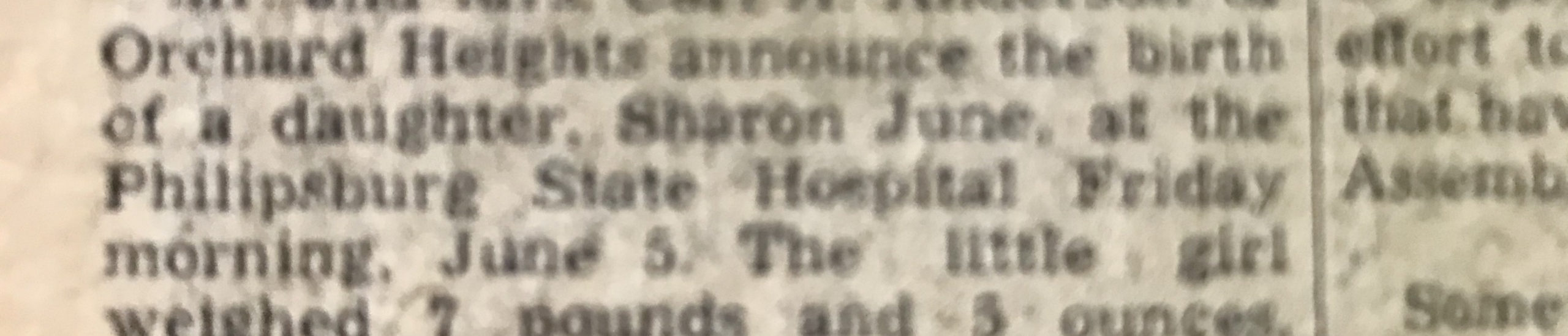 Years of the Cicadas