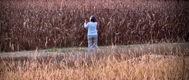 That Fleeting Moment