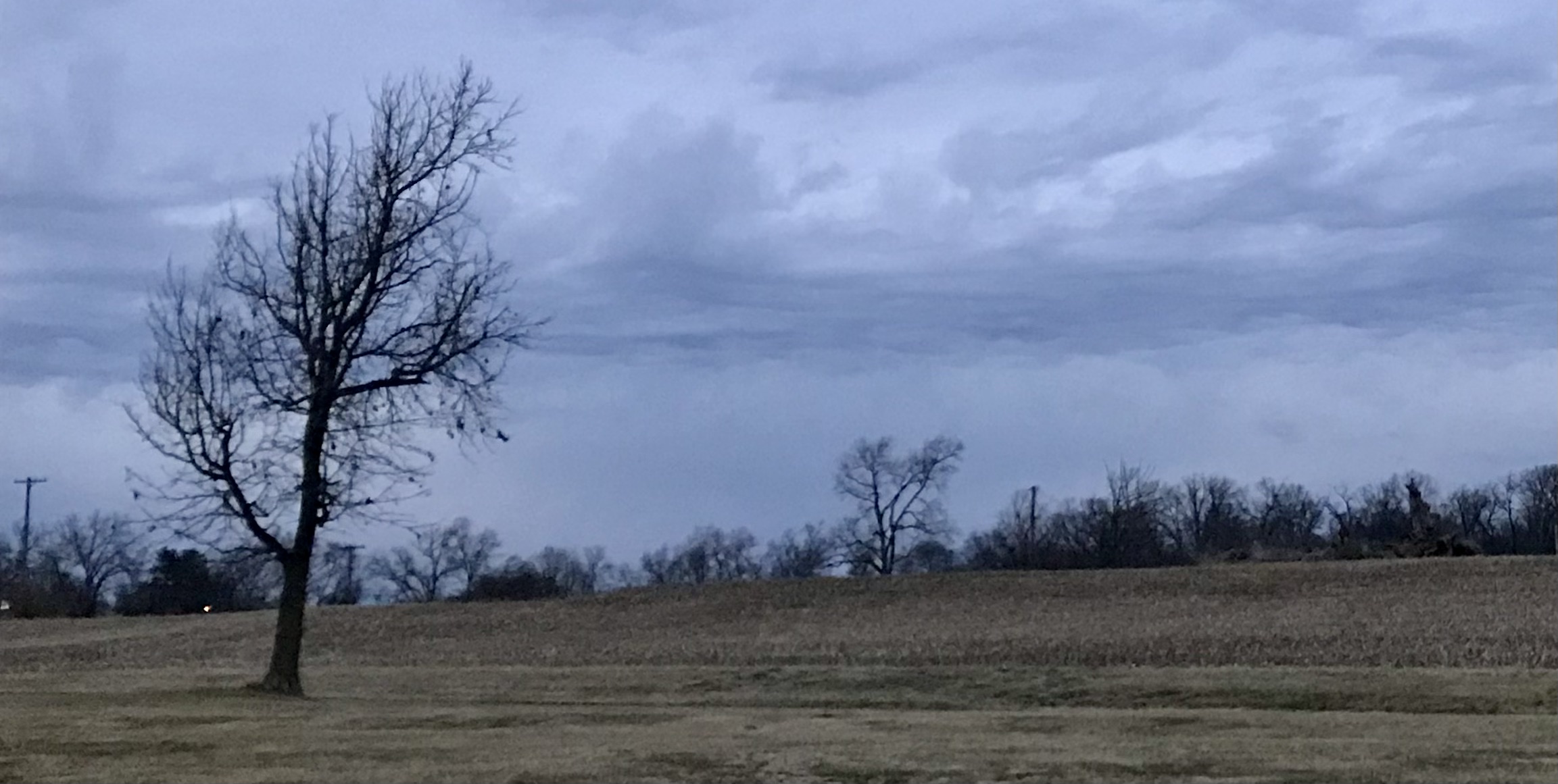 Sunrises with Zelensky