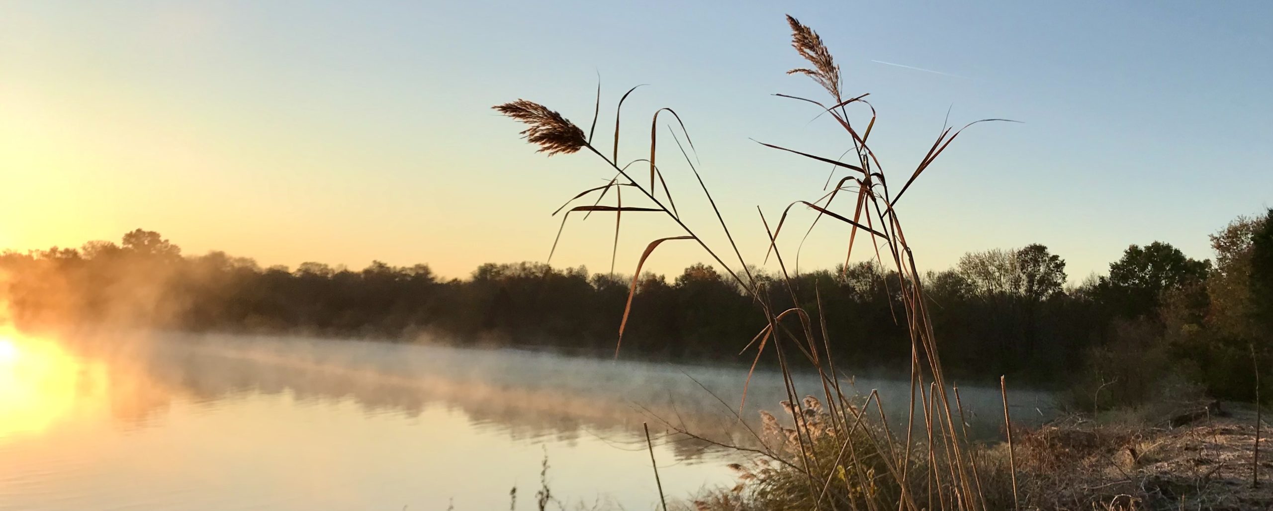 My Golden Goose Pond — Part One