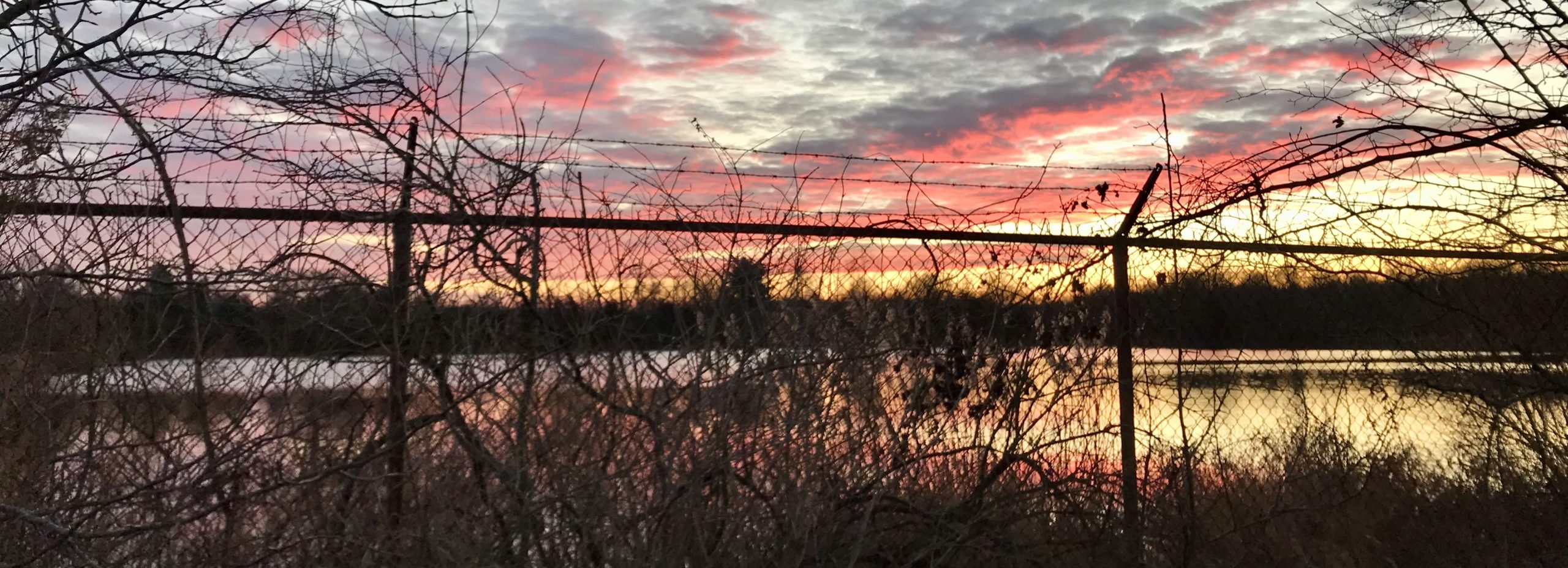 My Golden Goose Pond — Part Three