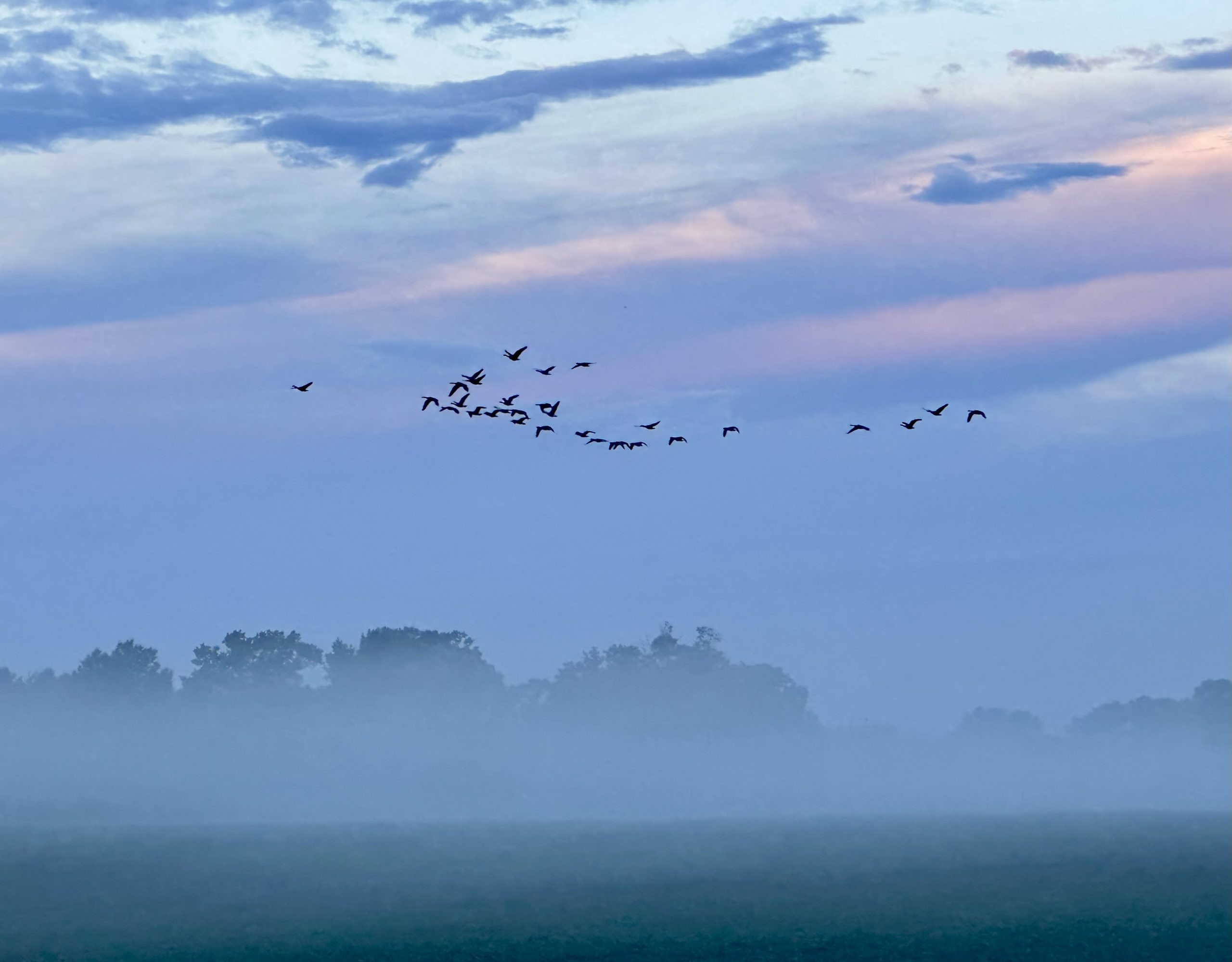 Attuned to Nature’s Music
