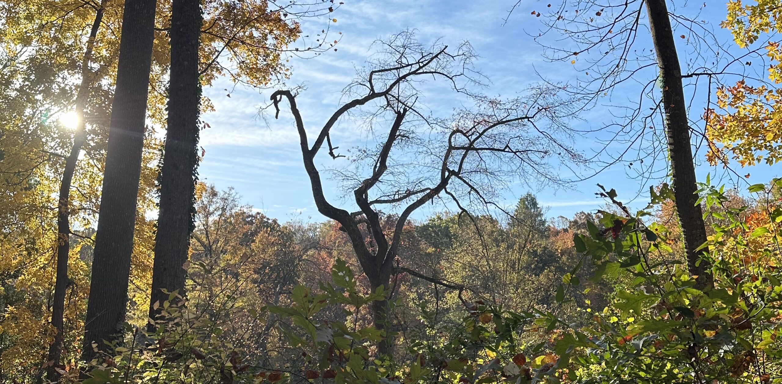 The Season of Change