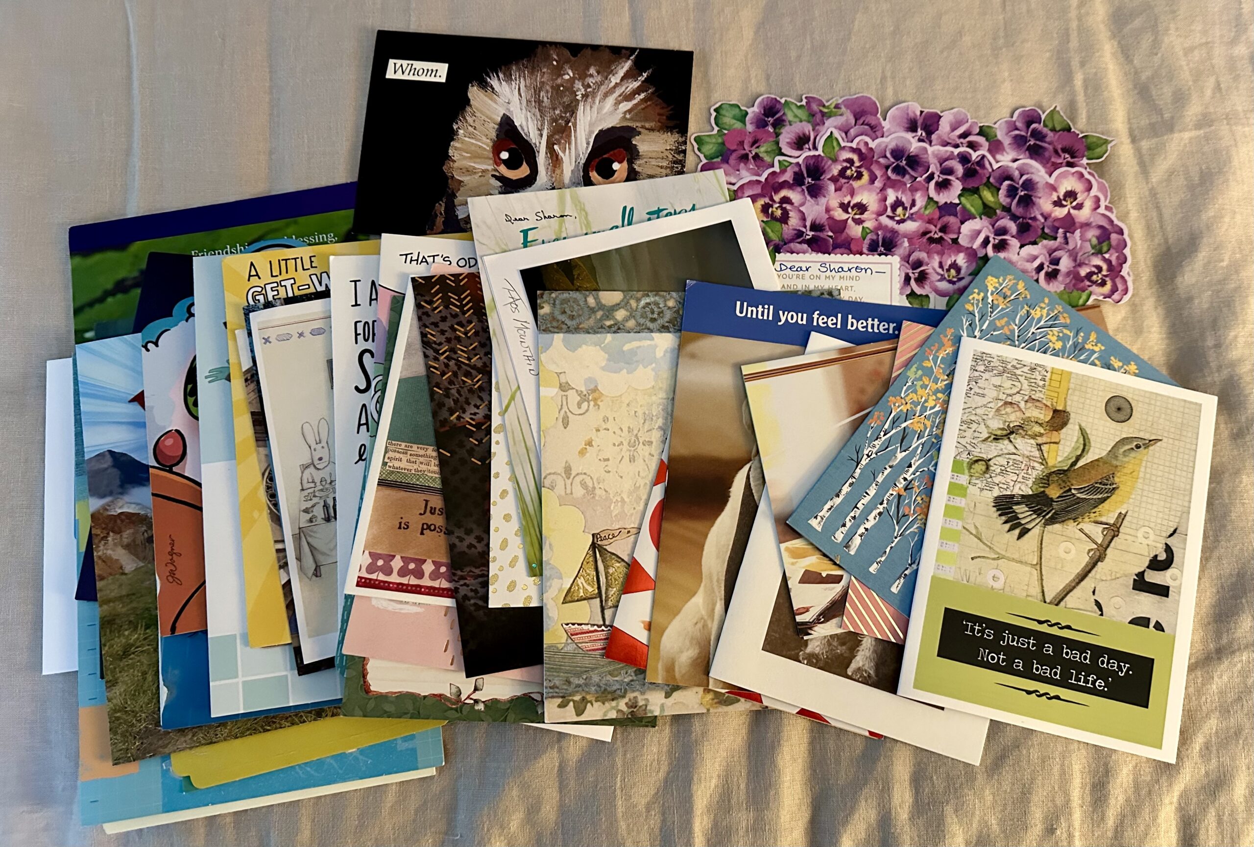 SURGICAL LESSONS — BELIEVE!