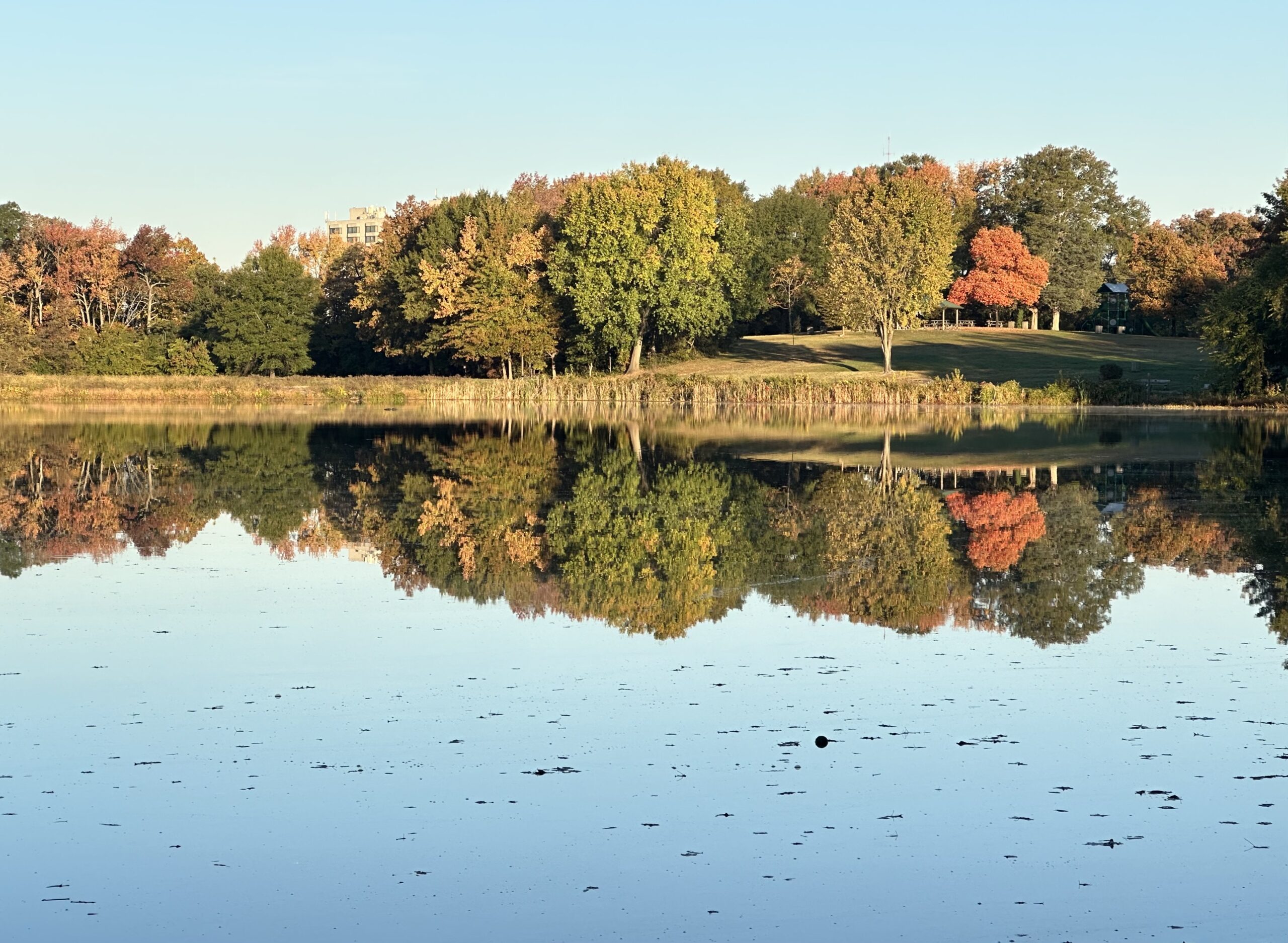 What Do You Care About?