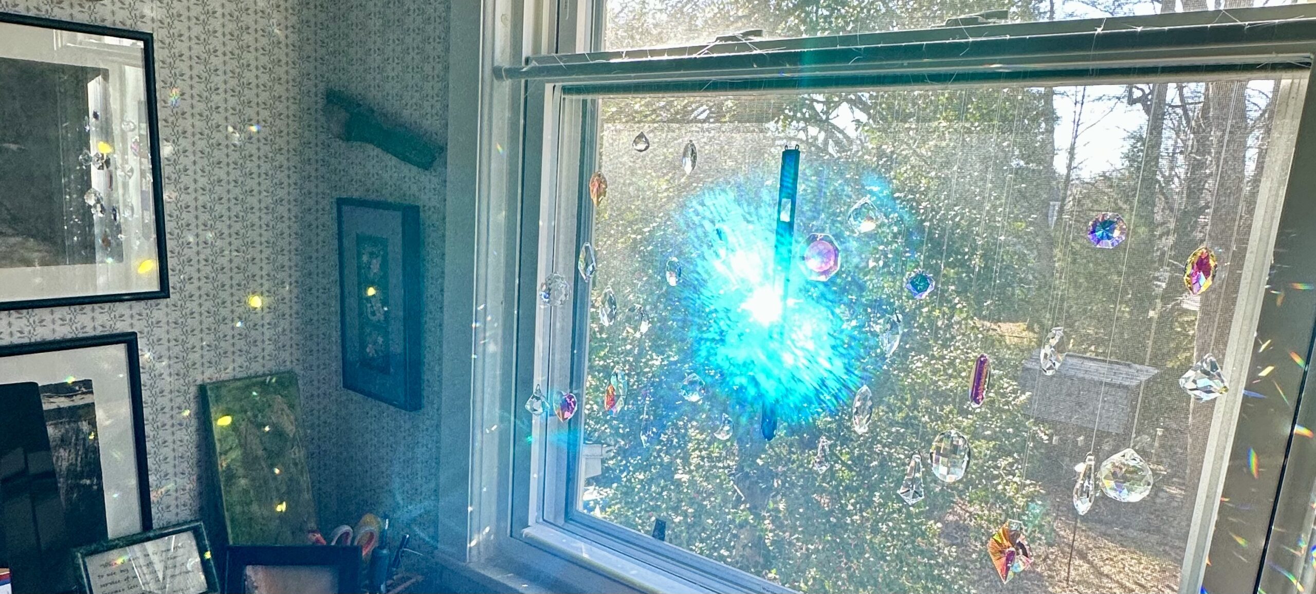 Living in the Changing Light